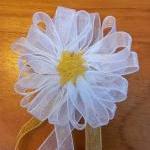 Romantic Daisy Hairclips: f..
