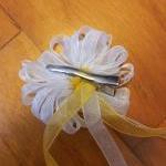 Romantic Daisy Hairclips: f..